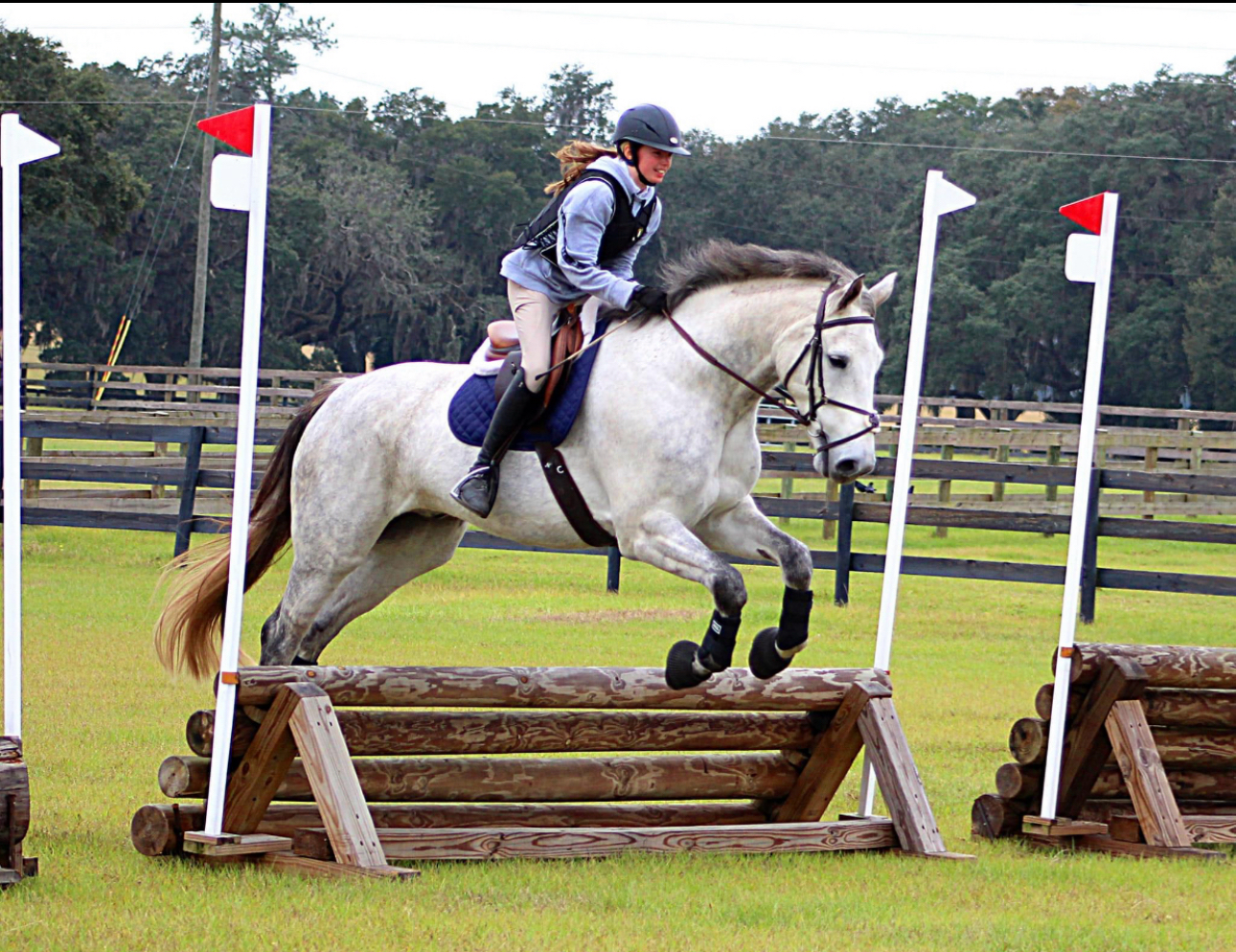 Rider on a grey horse jumping a log cross-country fence wearing black protective leg boots