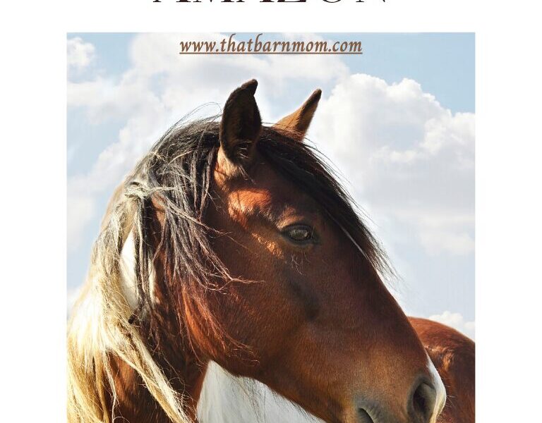 Amazon horse gifts guide 2026 cover featuring a paint horse portrait