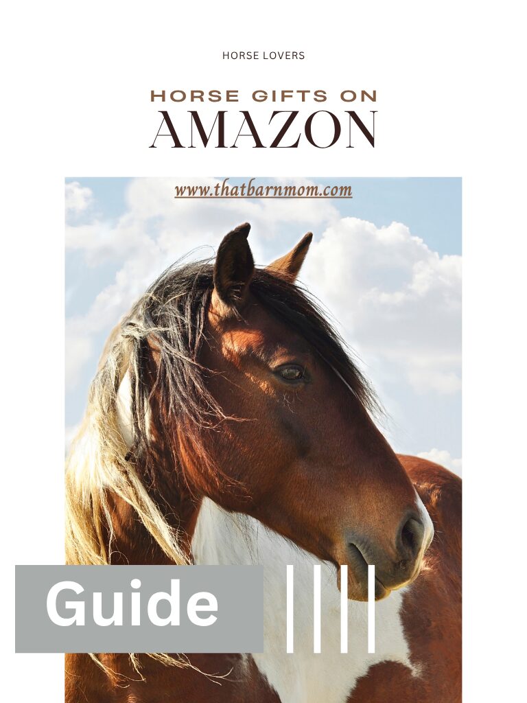 Amazon horse gifts guide 2026 cover featuring a paint horse portrait