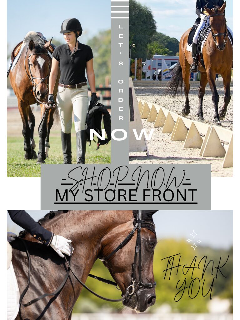 Shop my Amazon storefront for curated horse lover gifts and equestrian gear picks