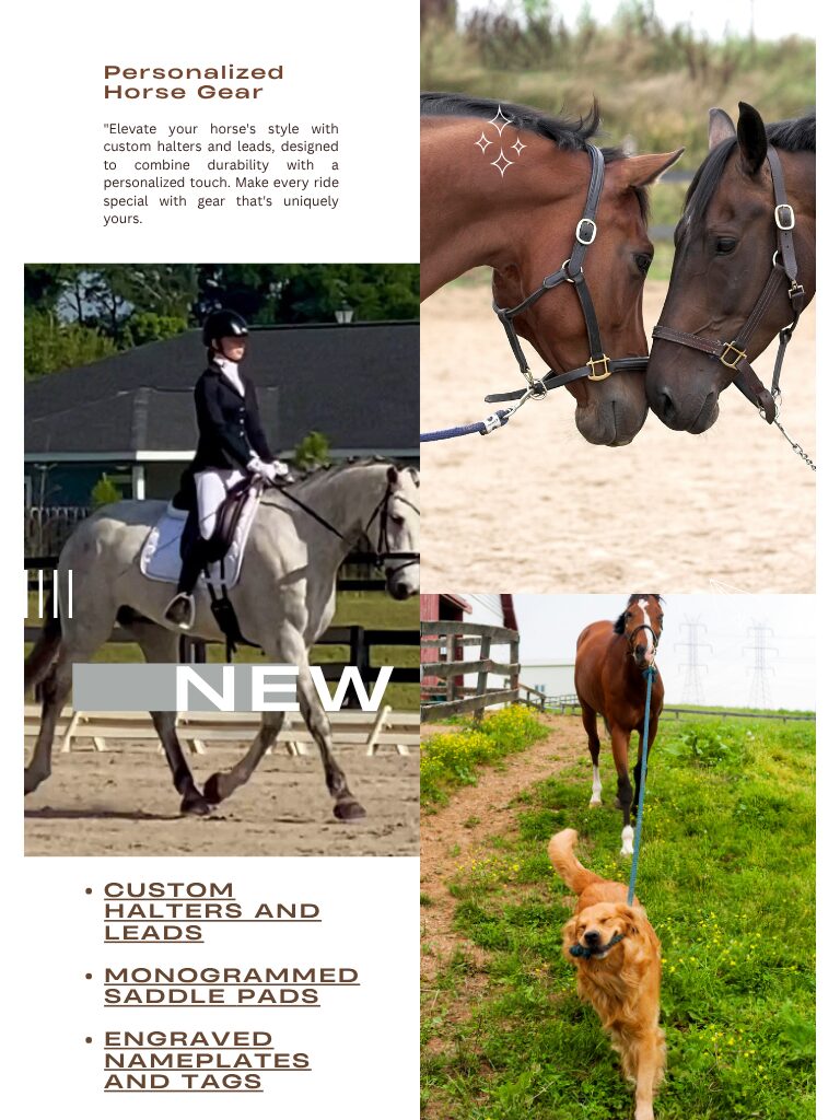 Personalized horse gear guide including custom halters, monogrammed saddle pads, and engraved nameplates