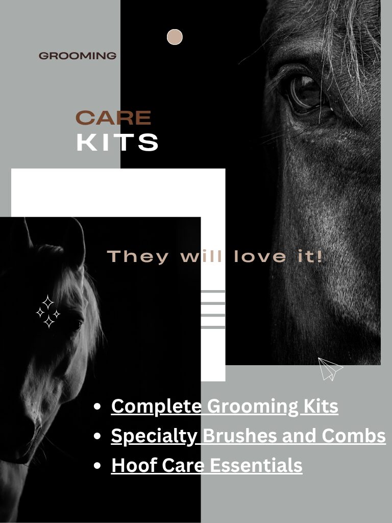 Horse grooming and care kits guide for equestrians on Amazon