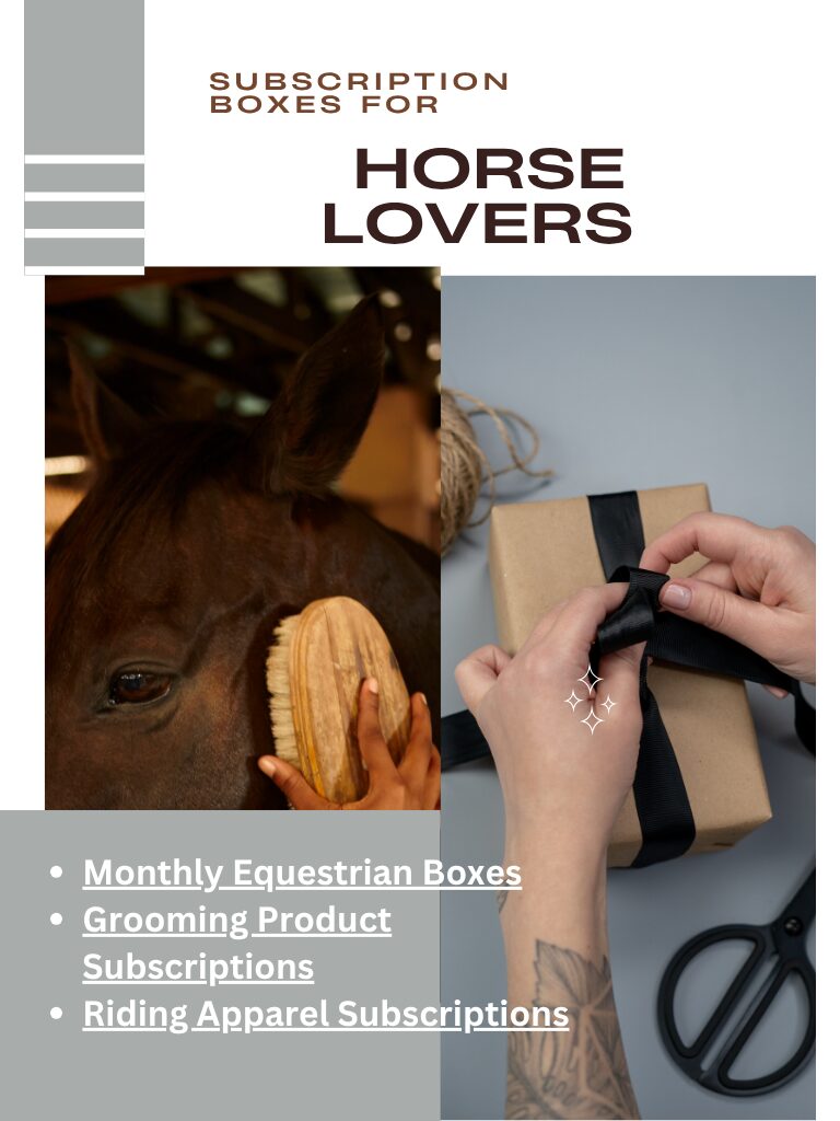 Subscription boxes for horse lovers including monthly equestrian boxes and grooming product subscriptions